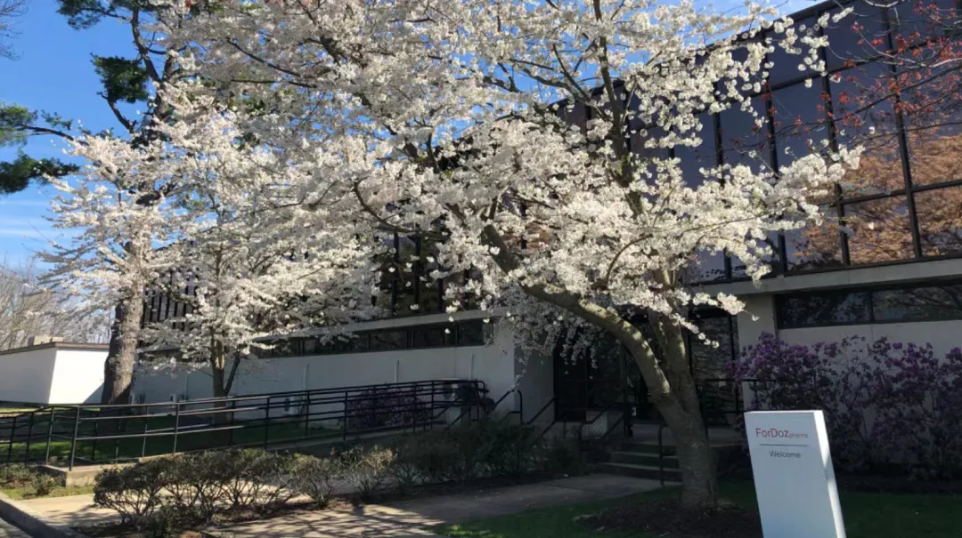 1724637900135813.png image.png